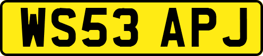 WS53APJ