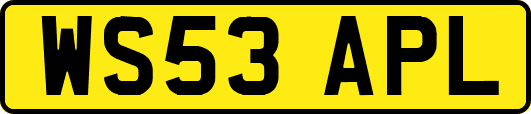 WS53APL