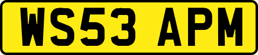 WS53APM