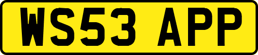 WS53APP