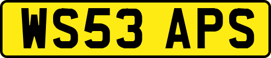 WS53APS