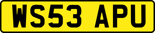 WS53APU