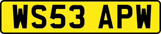 WS53APW