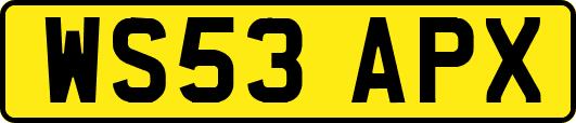 WS53APX