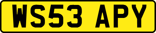 WS53APY