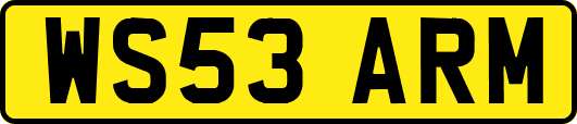 WS53ARM