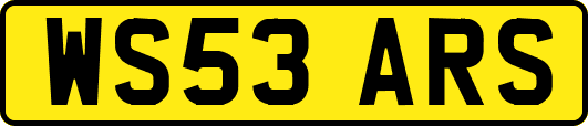 WS53ARS