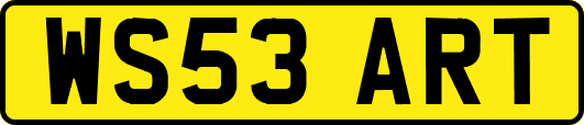 WS53ART