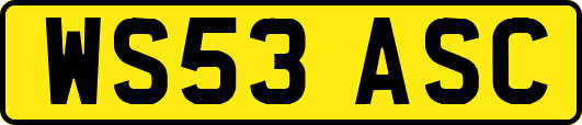 WS53ASC