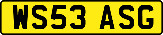 WS53ASG