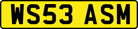 WS53ASM