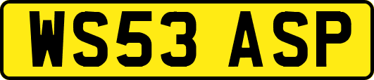 WS53ASP