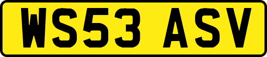 WS53ASV