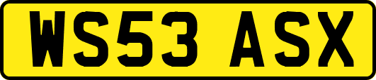 WS53ASX