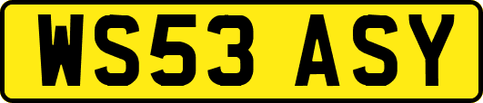 WS53ASY