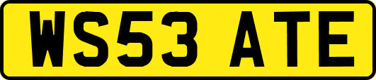 WS53ATE