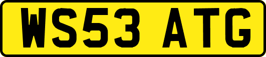 WS53ATG