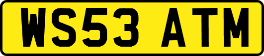 WS53ATM