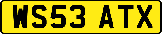 WS53ATX