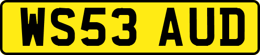 WS53AUD