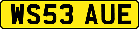 WS53AUE