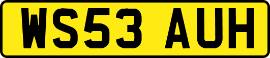 WS53AUH