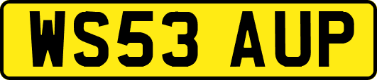 WS53AUP