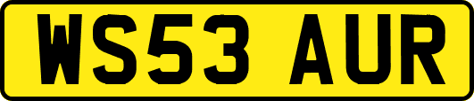 WS53AUR