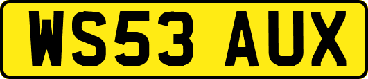 WS53AUX