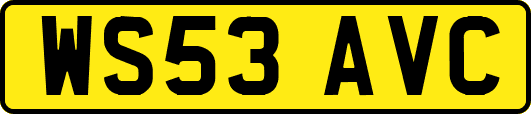 WS53AVC