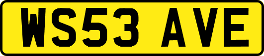 WS53AVE