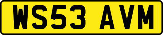 WS53AVM