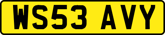 WS53AVY