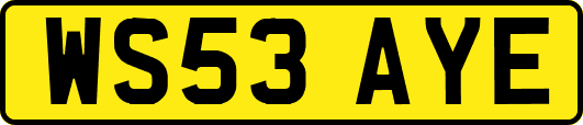 WS53AYE