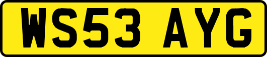 WS53AYG