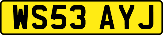 WS53AYJ
