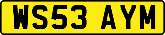 WS53AYM