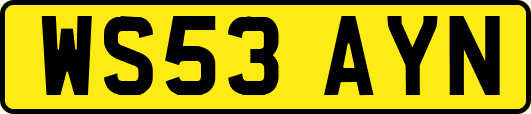 WS53AYN