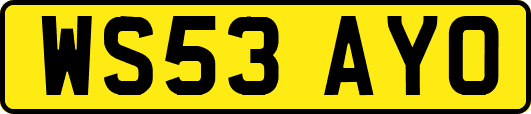 WS53AYO