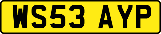 WS53AYP
