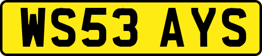 WS53AYS