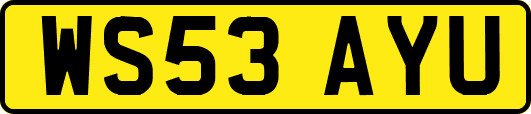 WS53AYU