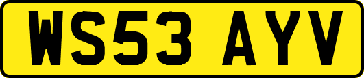 WS53AYV