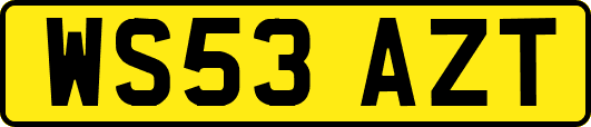 WS53AZT