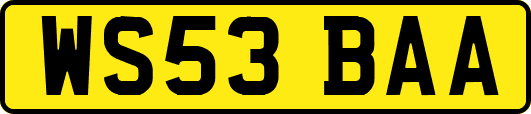 WS53BAA
