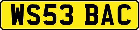 WS53BAC