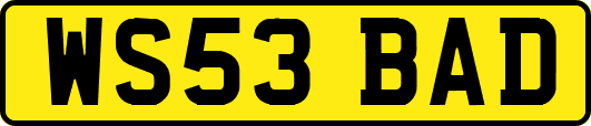 WS53BAD