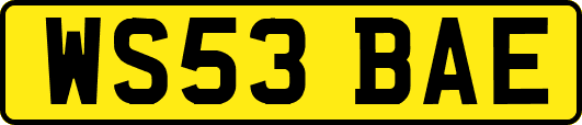 WS53BAE