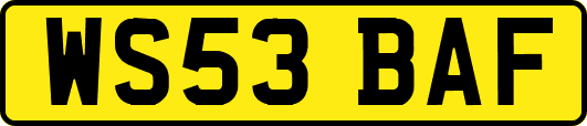 WS53BAF