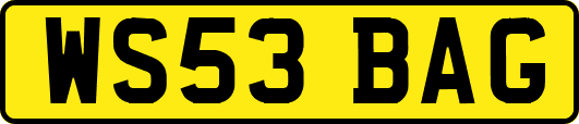 WS53BAG